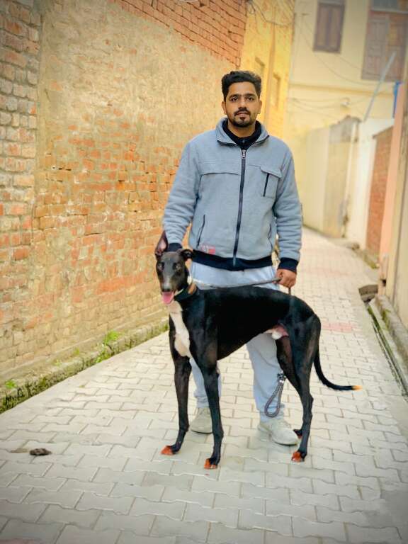 Mr NAWAB's Profile Pic